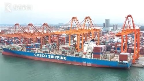 今年前8个月我国货物贸易与技术进出口实现双增长