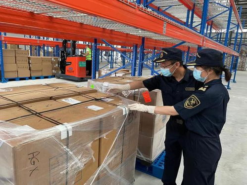 青岛胶东机场首批进口直航货物抵港入区，空港进出口货运业务全面运行