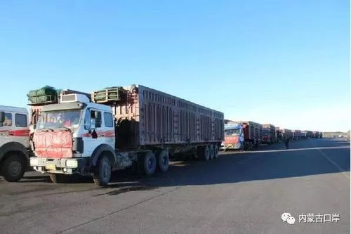 满都拉口岸进出口报关货物首次突破300万吨