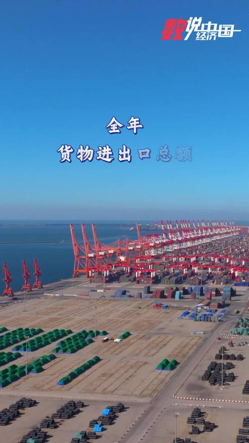 2024年货物进出口较快增长 贸易结构持续优化